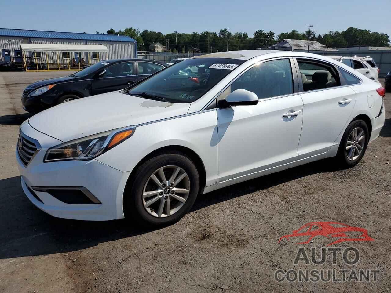HYUNDAI SONATA 2017 - 5NPE24AF1HH548498