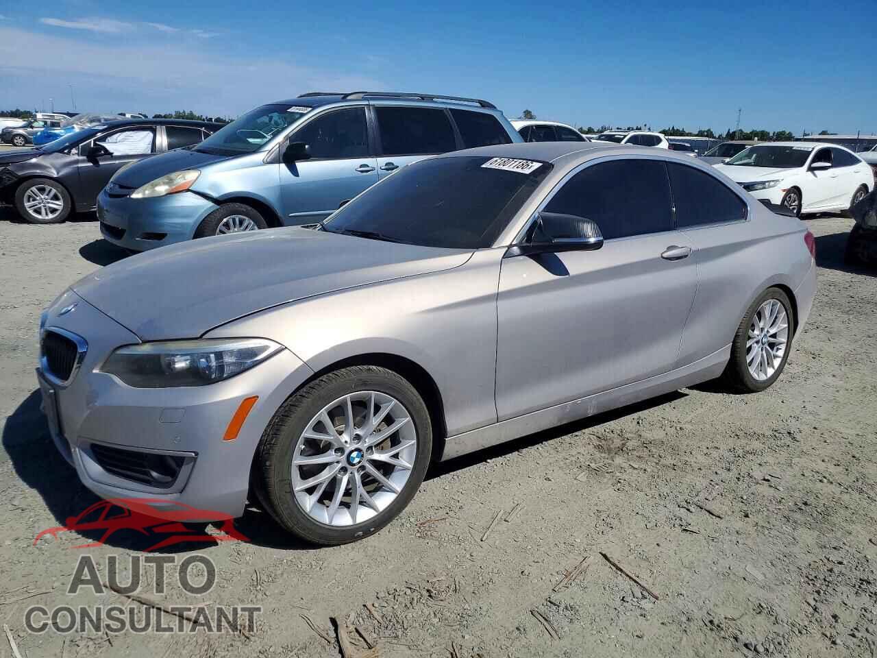 BMW 2 SERIES 2014 - WBA1F5C51EV256131