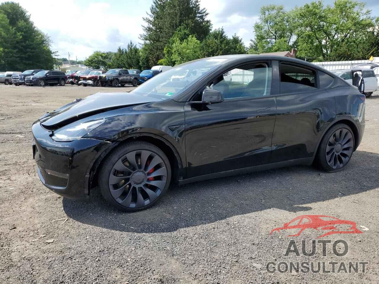 TESLA MODEL Y 2025 - 7SAYGDEF5SF311594
