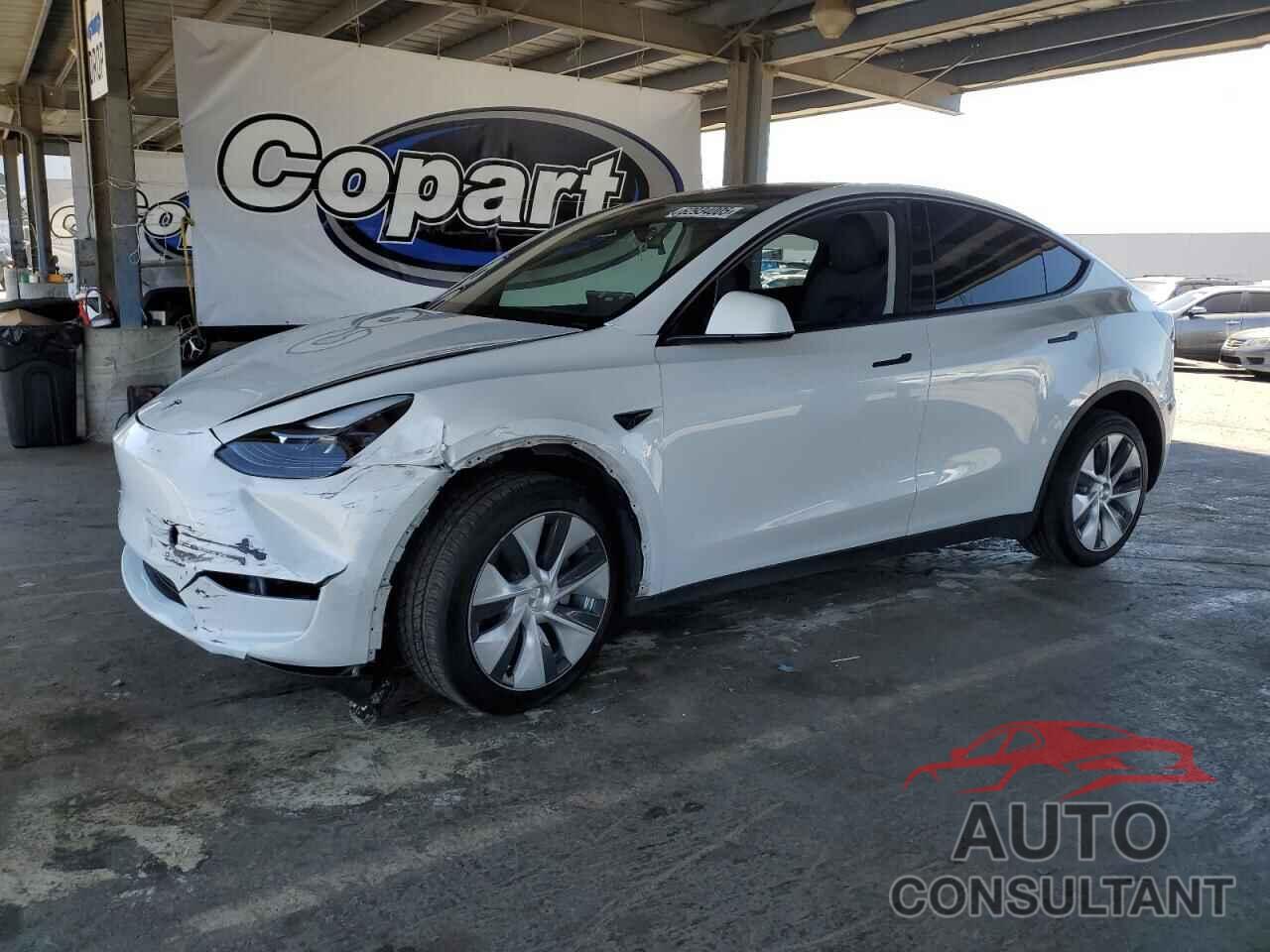 TESLA MODEL Y 2024 - 7SAYGDEE1RF031673