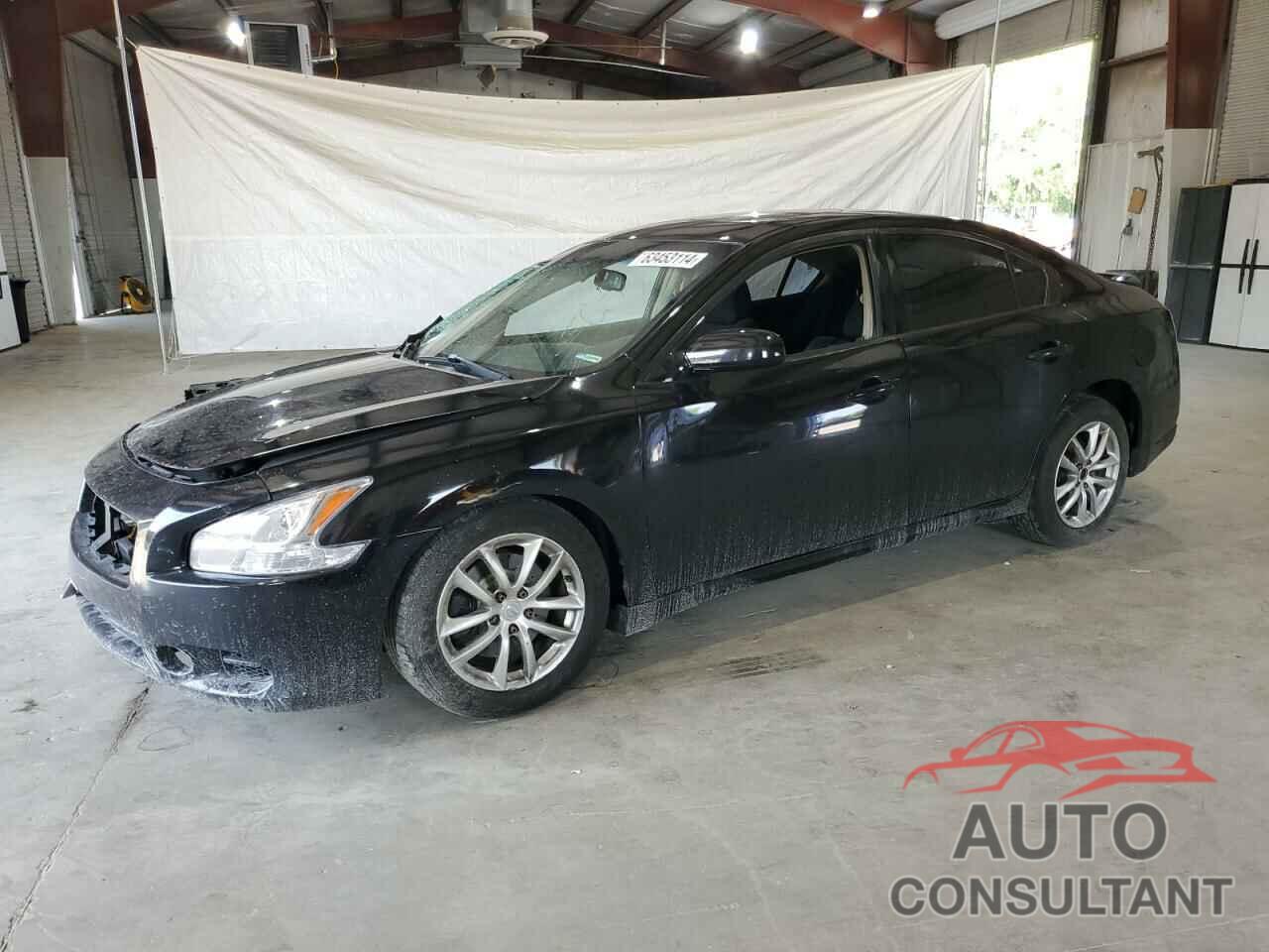 NISSAN MAXIMA 2013 - 1N4AA5AP0DC836637