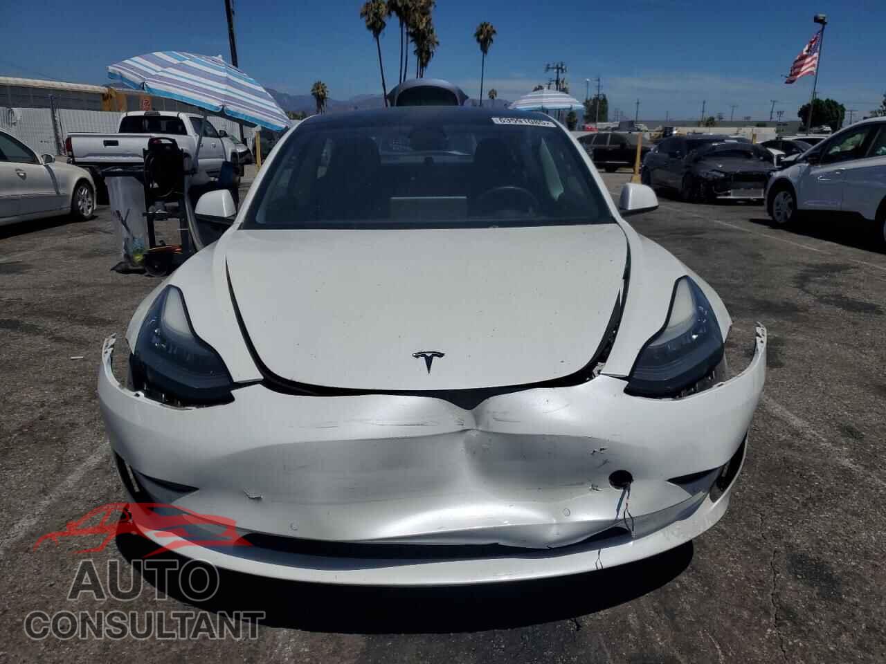 TESLA MODEL 3 2021 - 5YJ3E1EAXMF852000