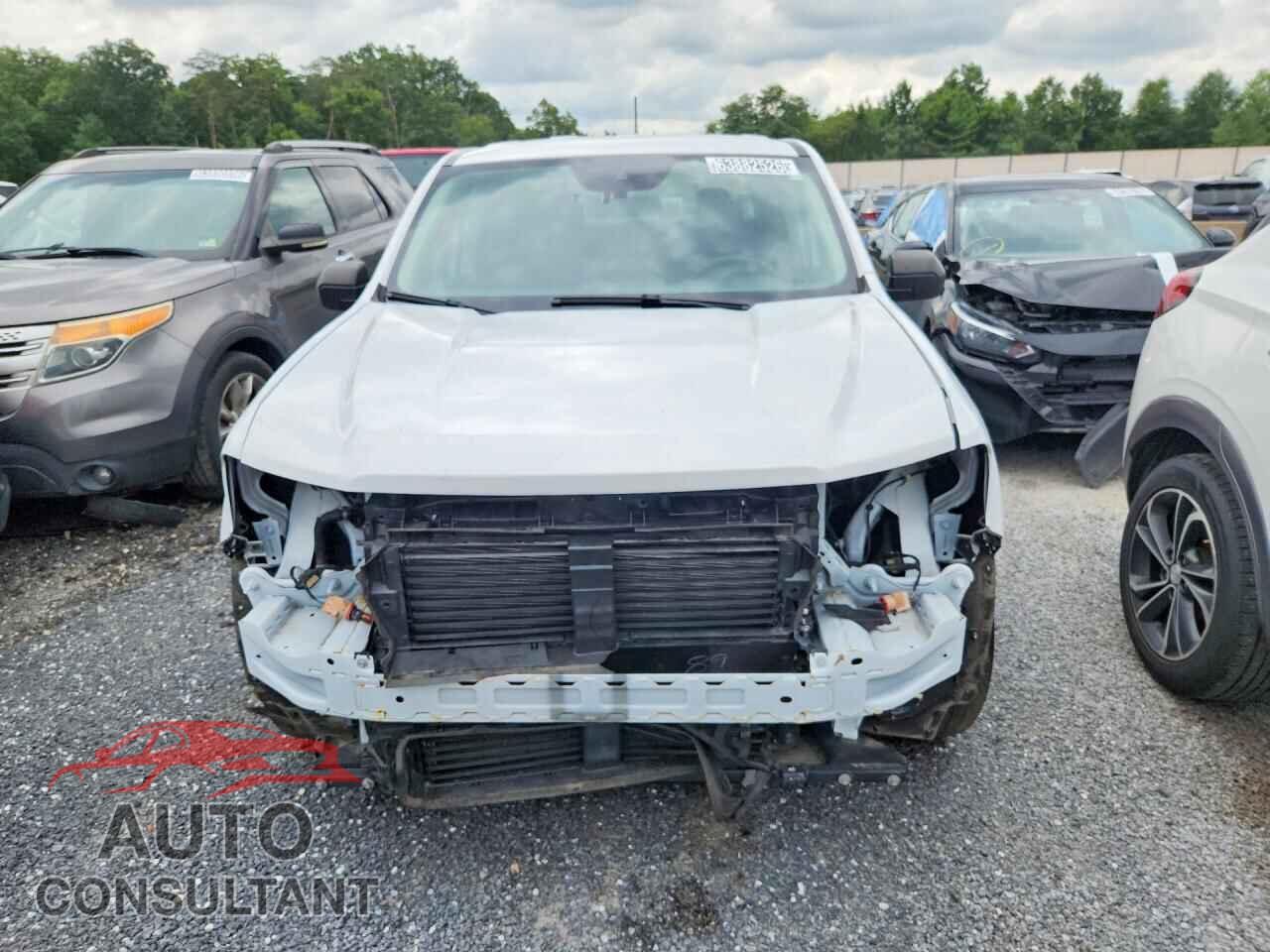 FORD MAVERICK 2022 - 3FTTW8E33NRA64697