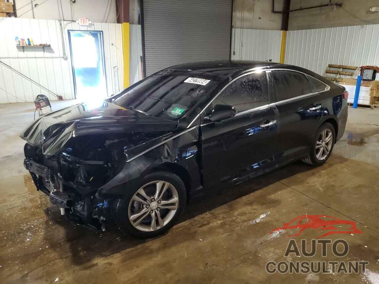 HYUNDAI SONATA 2019 - 5NPE34AFXKH785835