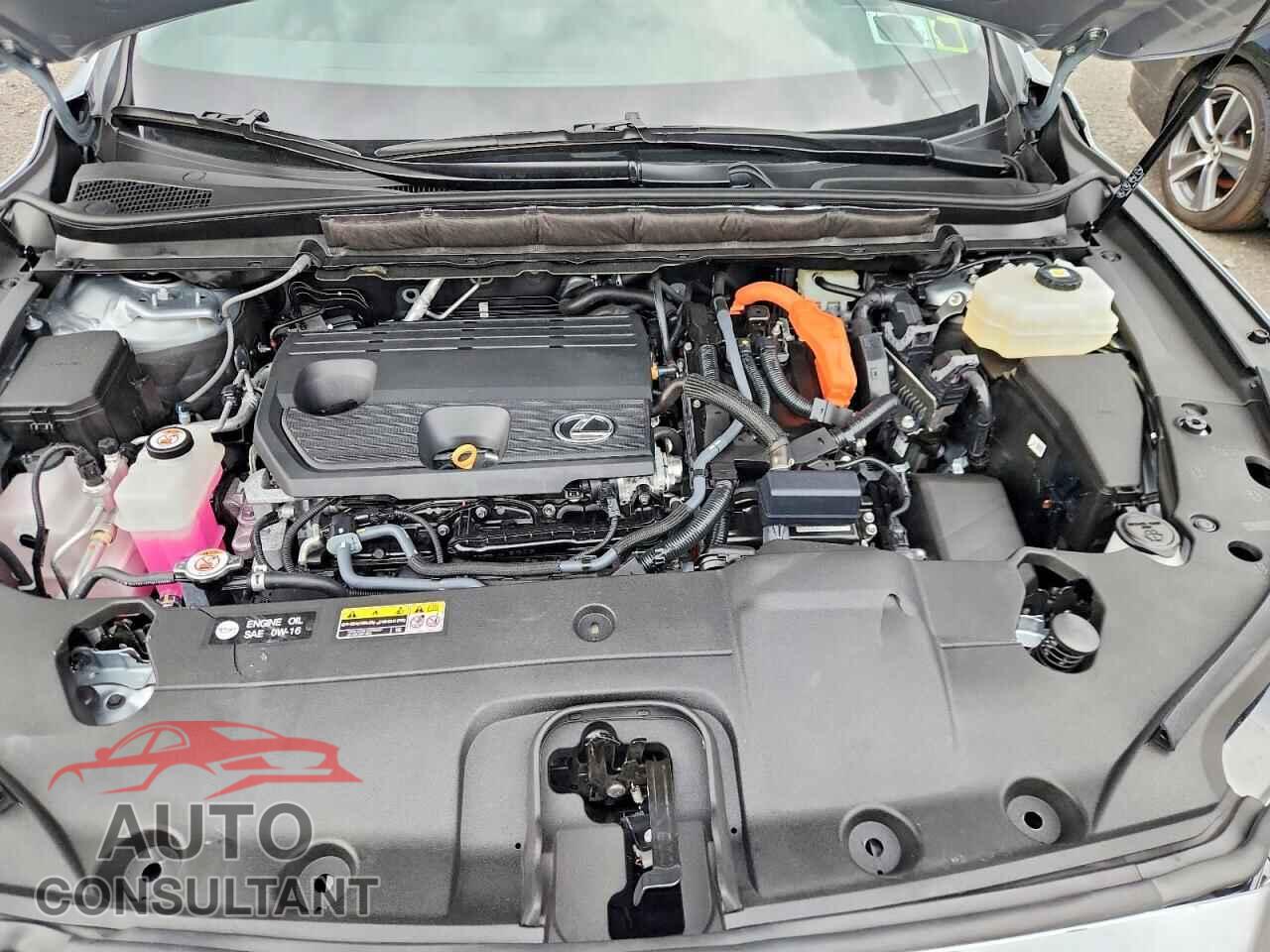 LEXUS UNKNOWN 2024 - 2T2BBMCA4RC038831