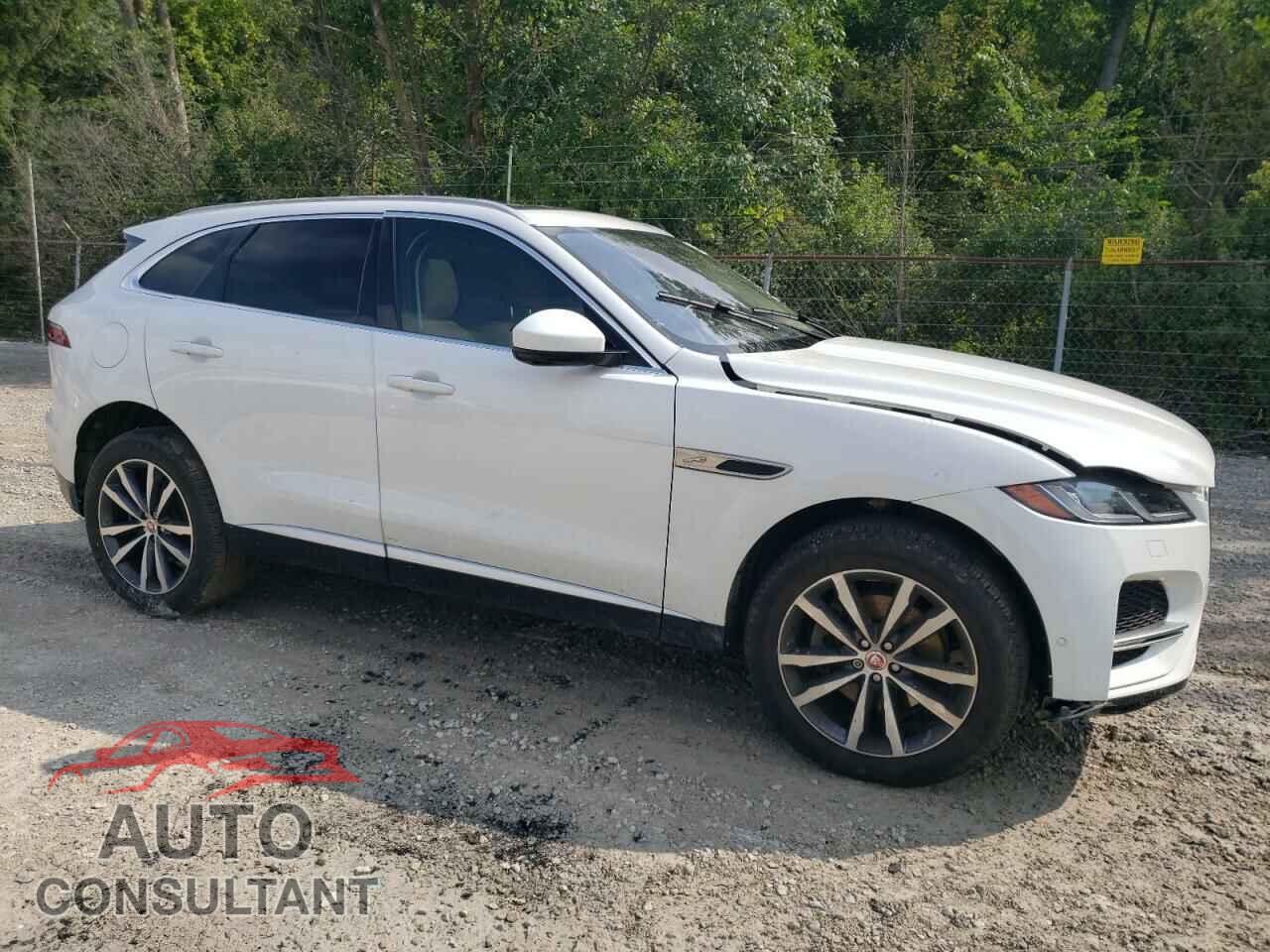 JAGUAR F-PACE 2021 - SADCJ2EX1MA665389