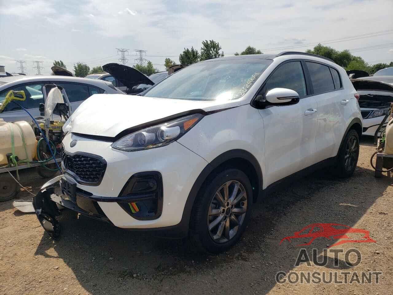 KIA SPORTAGE 2022 - KNDP6CAC1N7020876