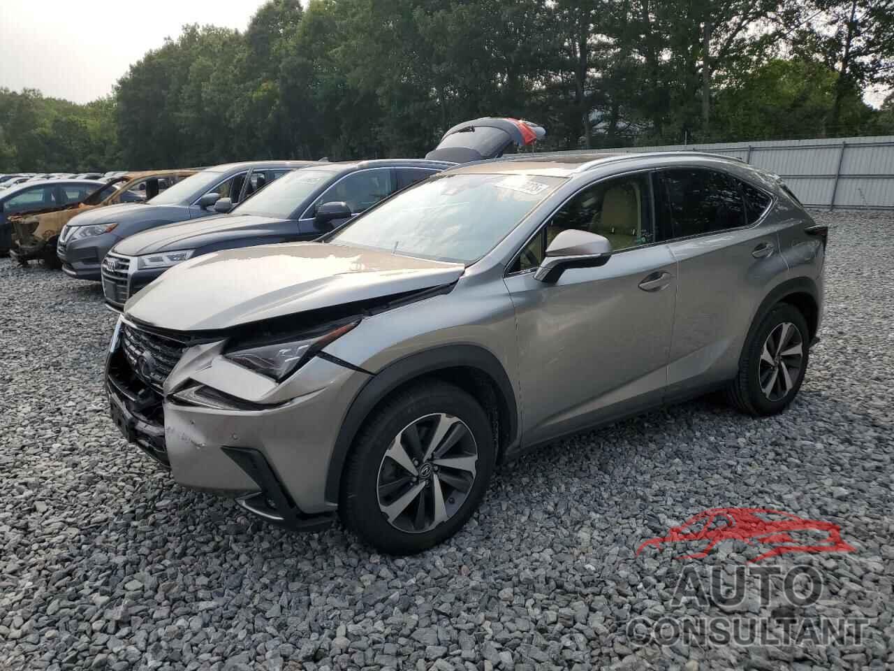 LEXUS NX 2019 - JTJBARBZ7K2201632