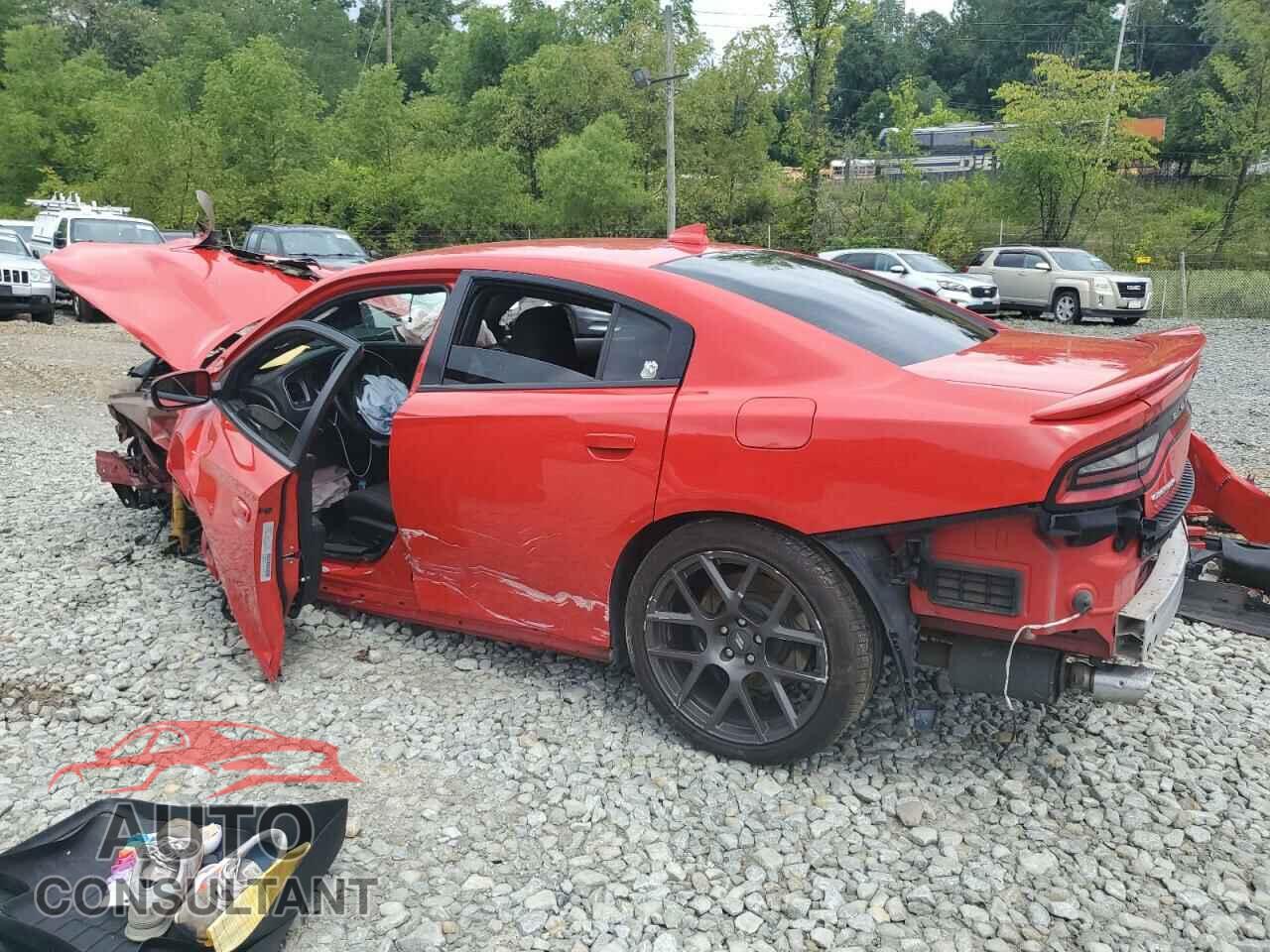 DODGE CHARGER 2019 - 2C3CDXCT3KH605875