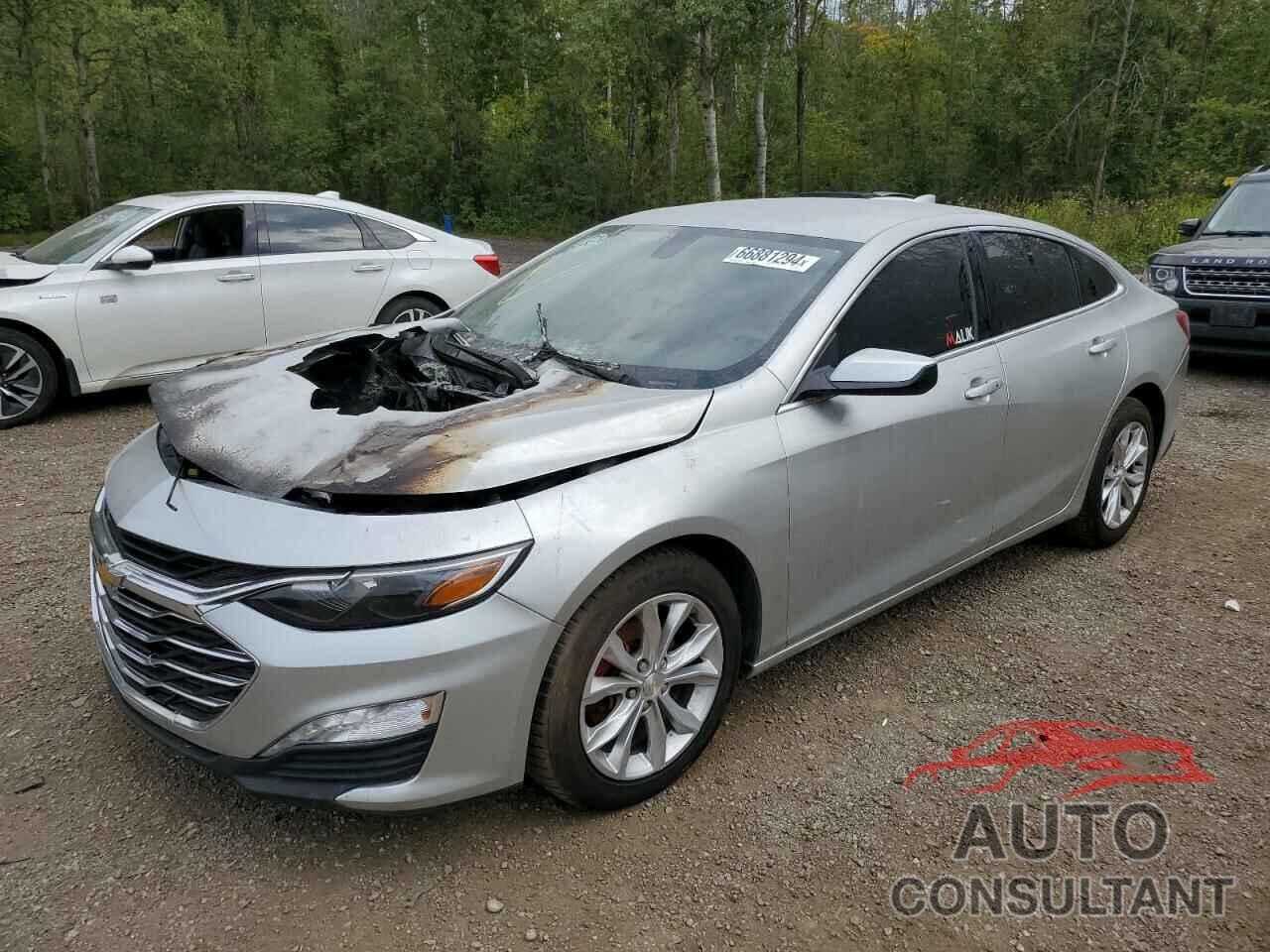 CHEVROLET MALIBU 2019 - 1G1ZD5ST5KF114357