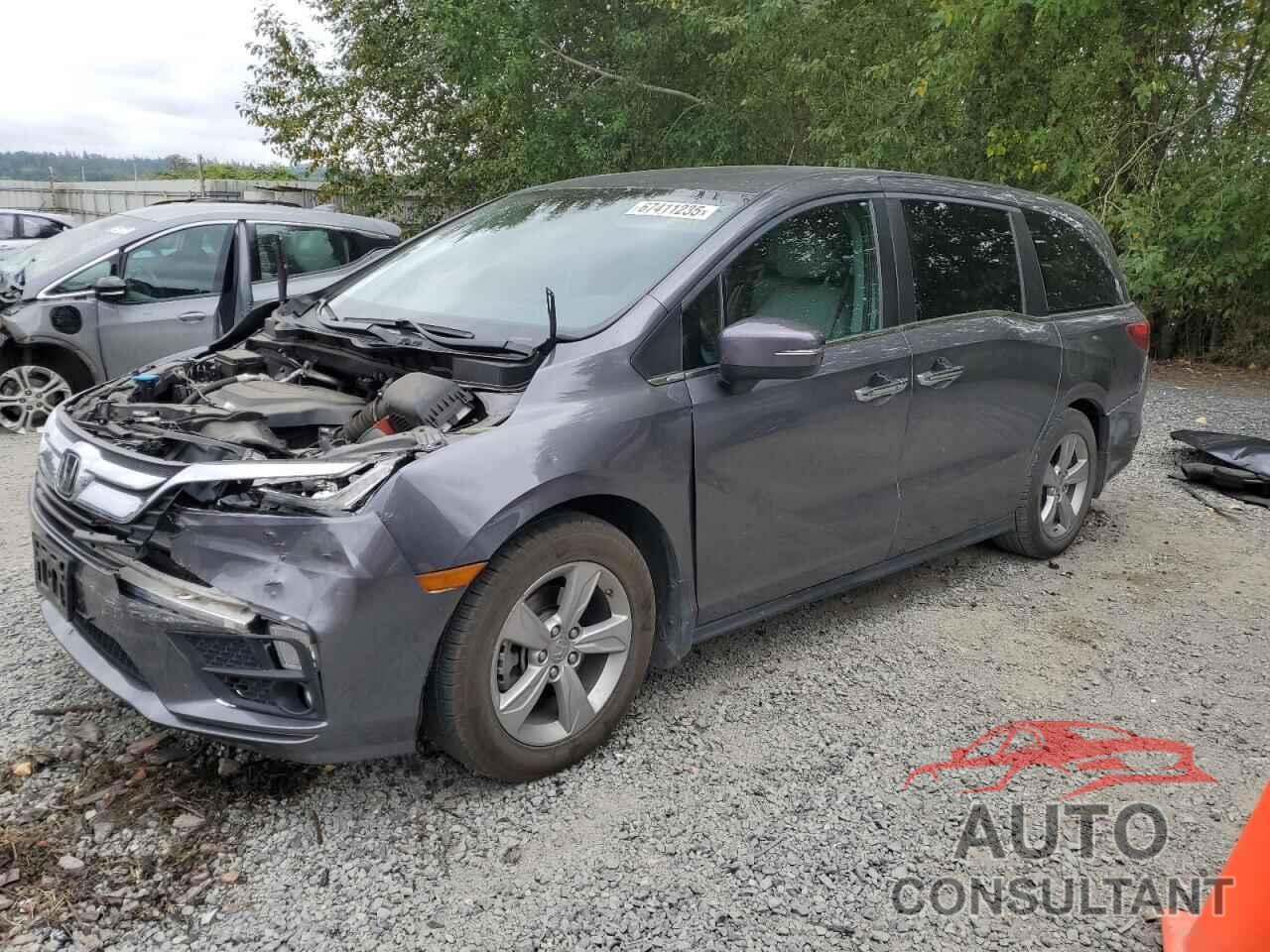 HONDA All Models 2019 - 5FNRL6H77KB042608