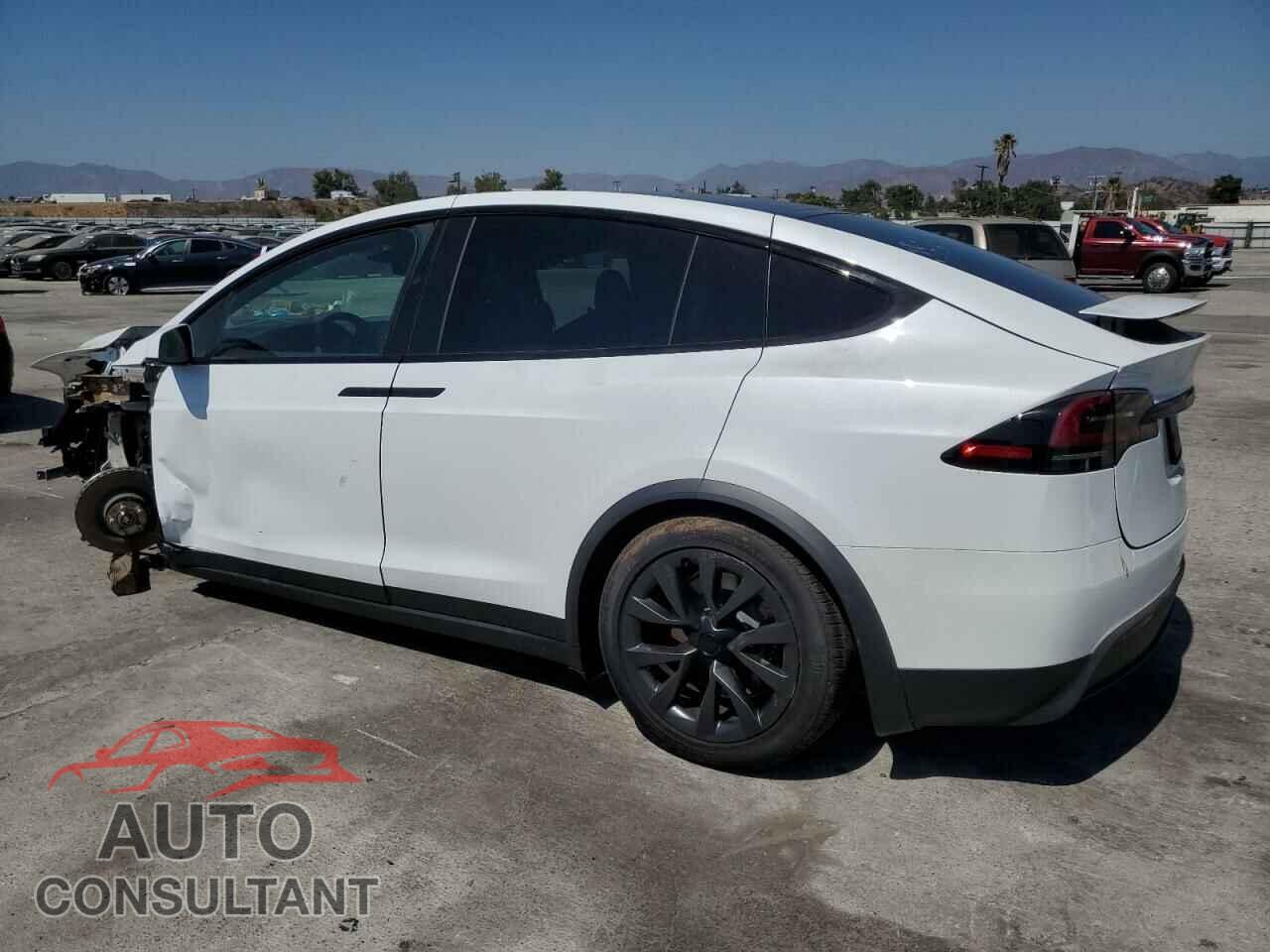 TESLA MODEL X 2024 - 7SAXCDE50RF446832