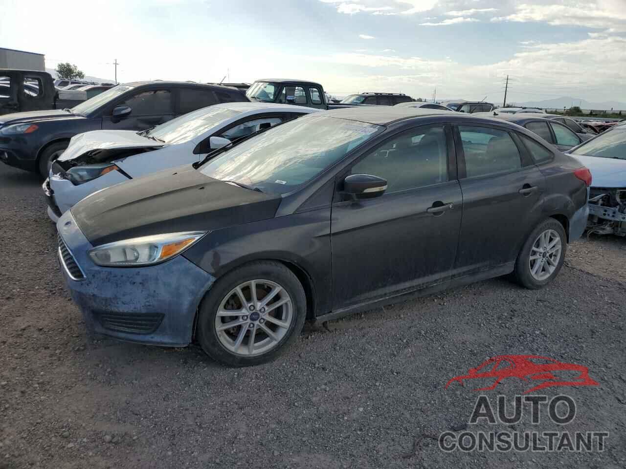 FORD FOCUS 2016 - 1FADP3F21GL364692