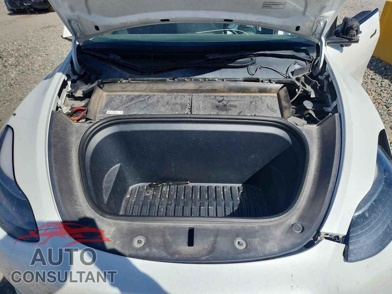 TESLA MODEL Y 2022 - 7SAYGAEE4NF548281