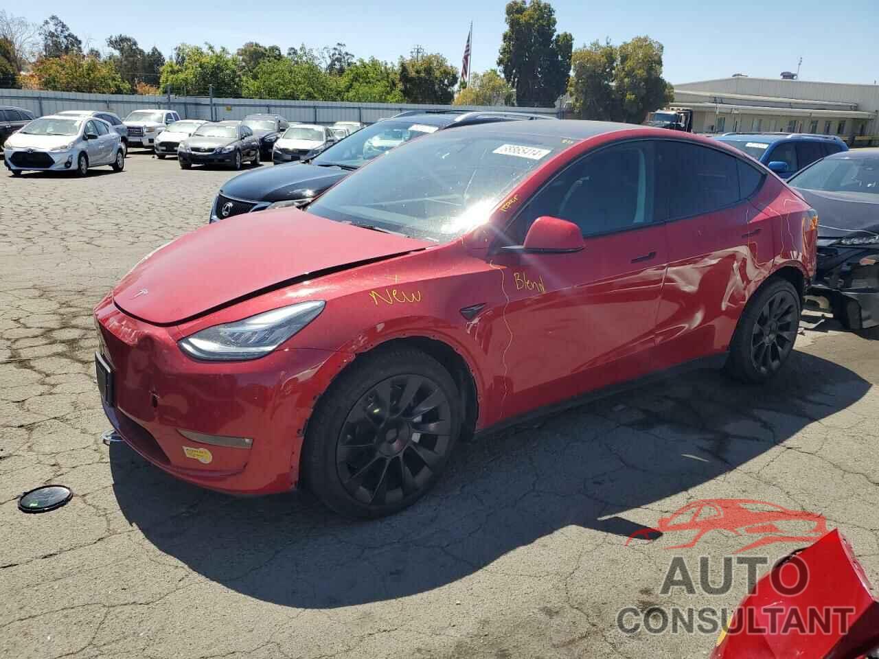 TESLA MODEL Y 2022 - 7SAYGAEEXNF343208