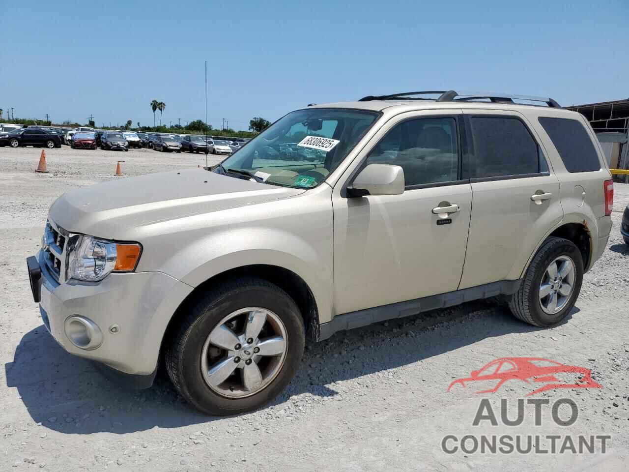 FORD ESCAPE 2011 - 1FMCU9EGXBKA03552