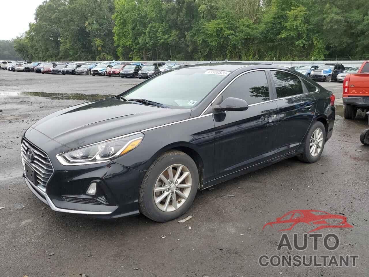 HYUNDAI SONATA 2019 - 5NPE24AF1KH761734