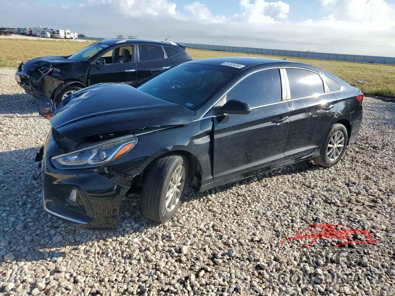 HYUNDAI SONATA 2019 - 5NPE24AF4KH778513