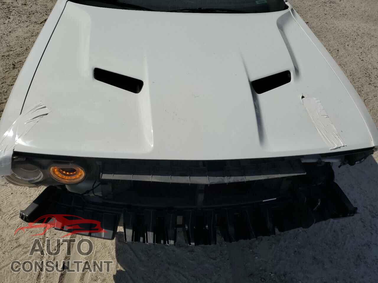 DODGE CHALLENGER 2019 - 2C3CDZAG2KH675093