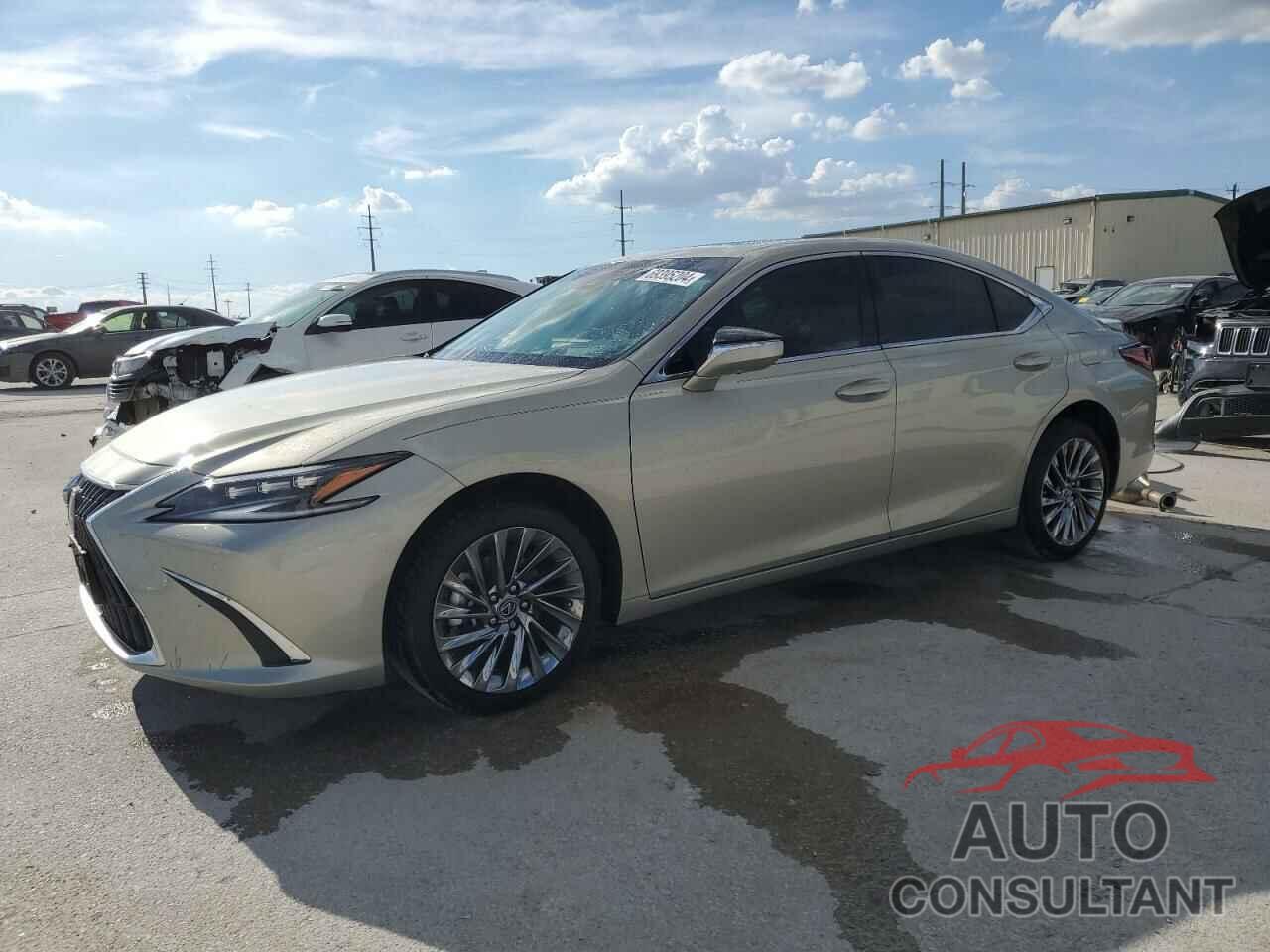 LEXUS ES300 2024 - 58AFA1C17RU039969