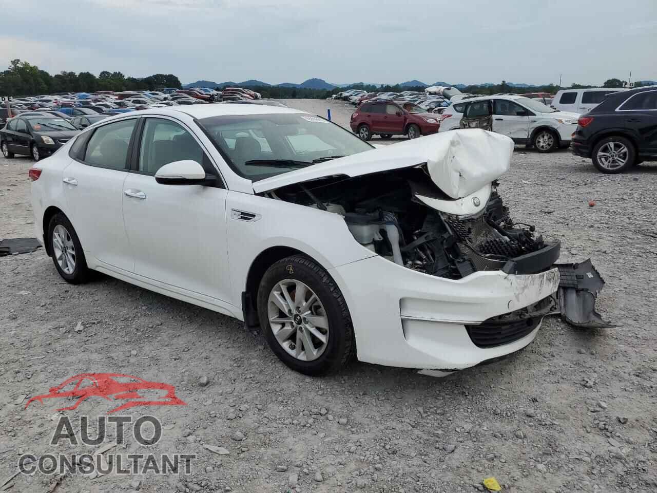 KIA OPTIMA 2016 - KNAGT4L33G5084814