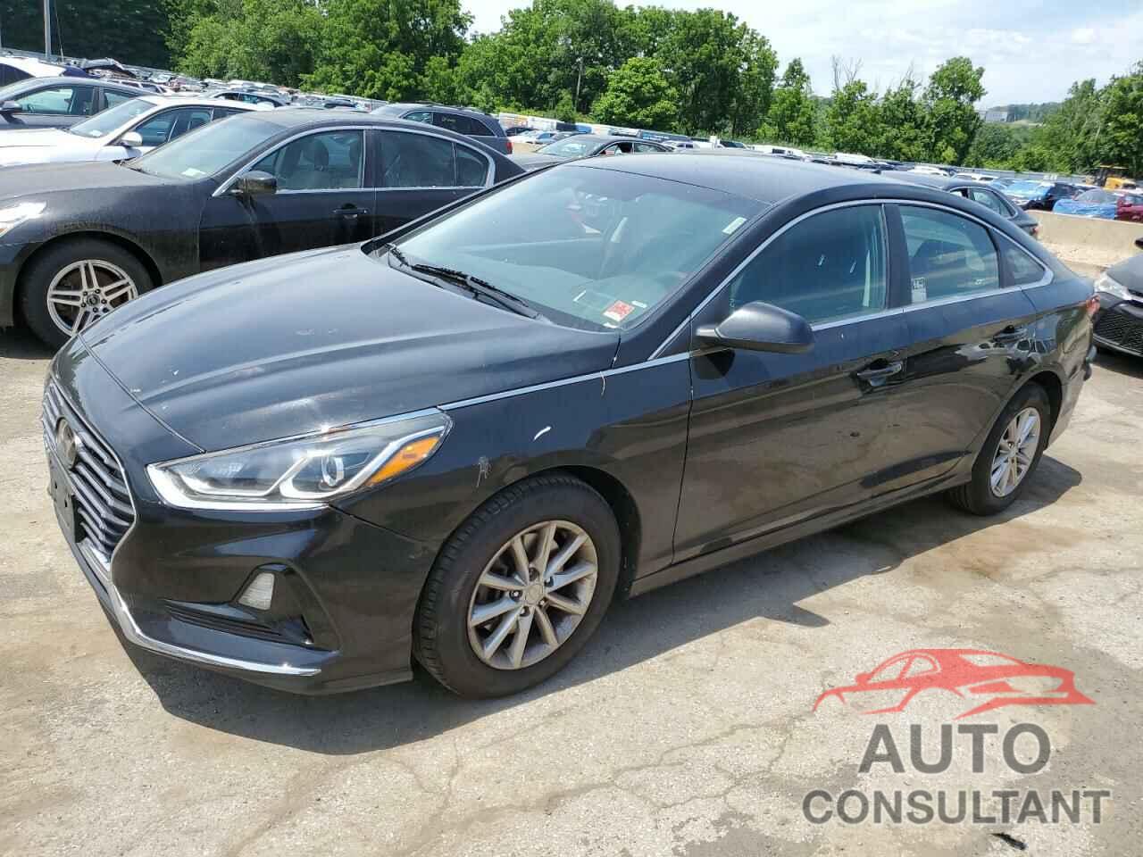 HYUNDAI SONATA 2019 - 5NPE24AF3KH751092