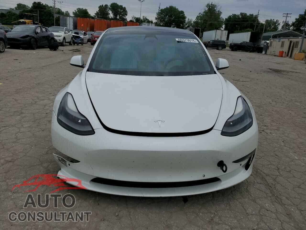 TESLA MODEL 3 2021 - 5YJ3E1EBXMF924984