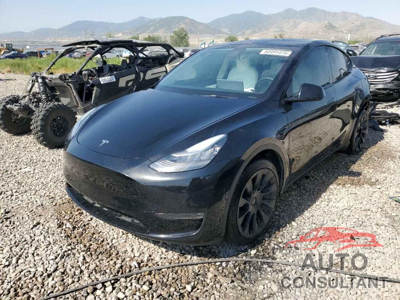 TESLA MODEL Y 2021 - 5YJYGDEE8MF174223