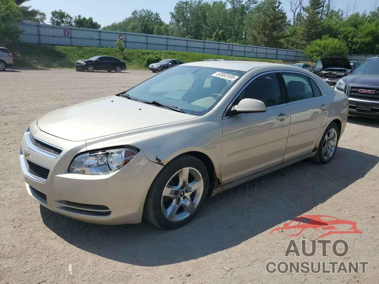 CHEVROLET MALIBU 2009 - 1G1ZH57BX94215520