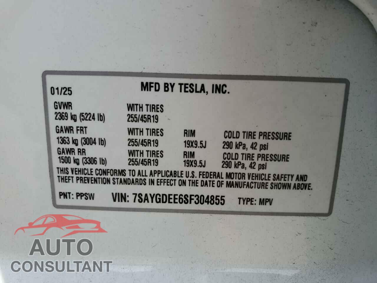 TESLA MODEL Y 2025 - 7SAYGDEE6SF304855