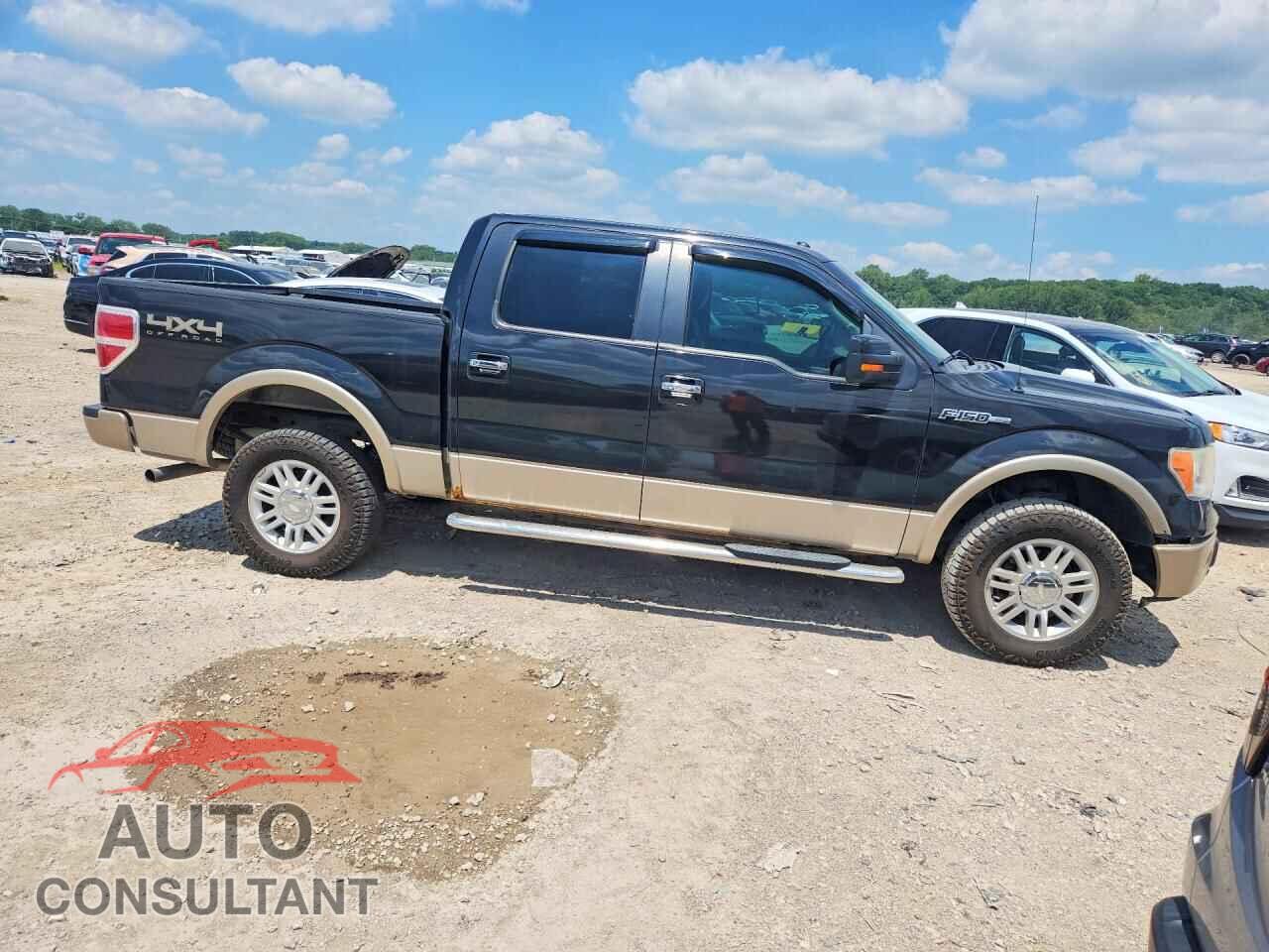 FORD F150 2012 - 1FTFW1EF1CFA66358