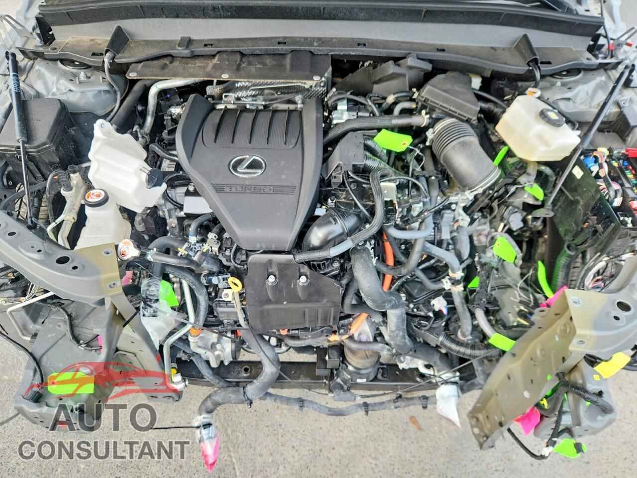 LEXUS UNKNOWN 2026 - 5TDABAB69TS018844
