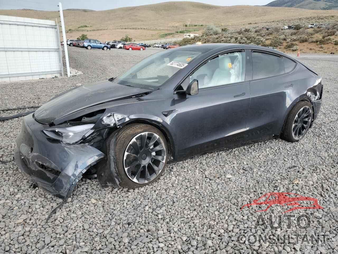 TESLA MODEL Y 2025 - 7SAYGAEE2SF312174