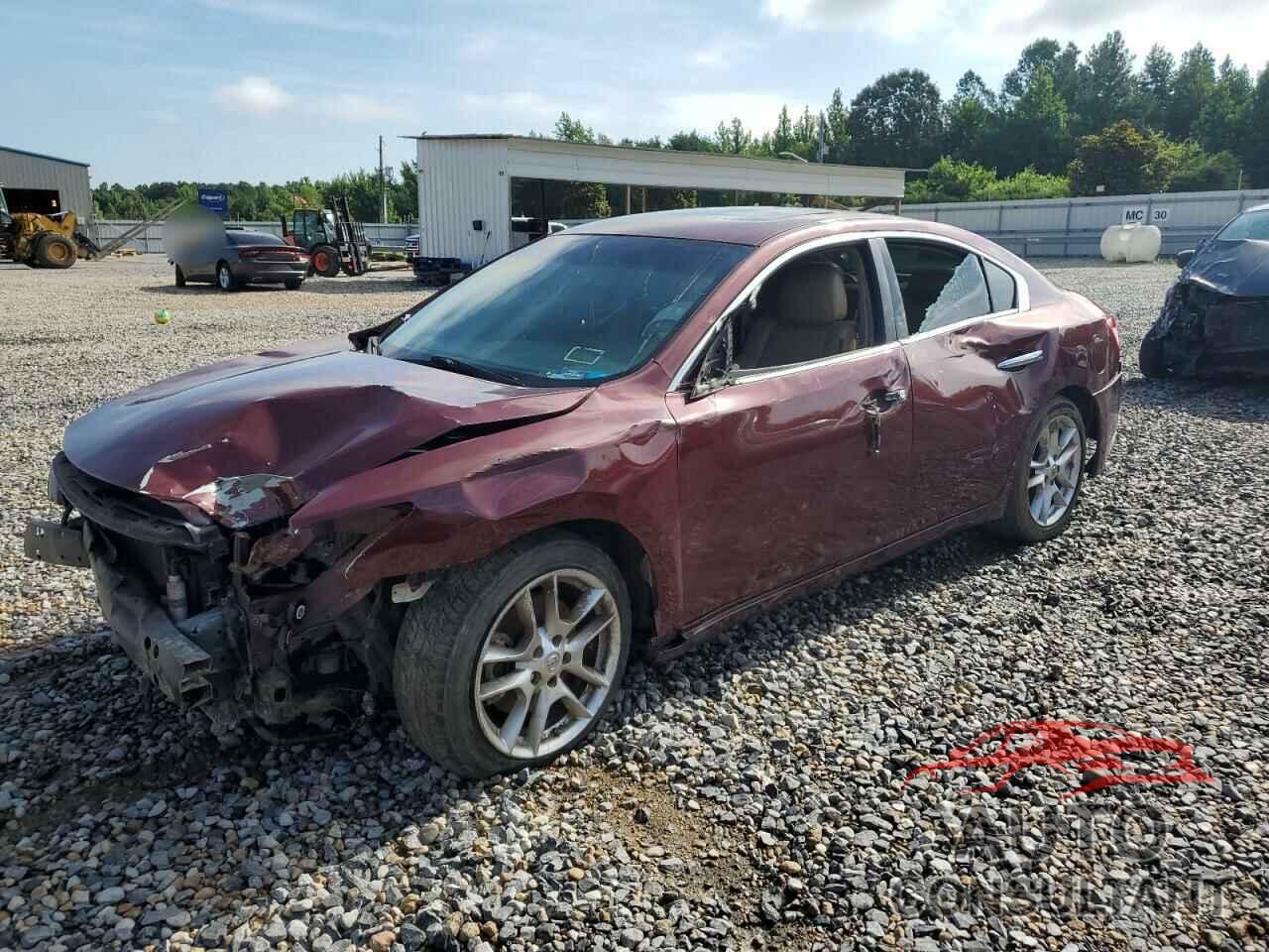 NISSAN MAXIMA 2010 - 1N4AA5AP6AC819238