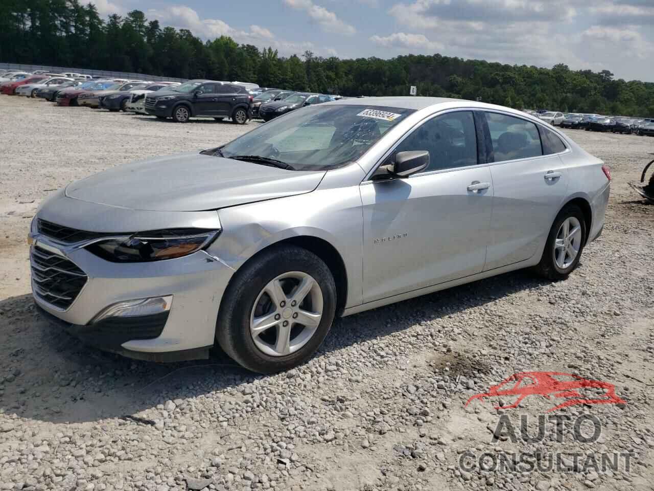 CHEVROLET MALIBU 2019 - 1G1ZB5ST2KF223512