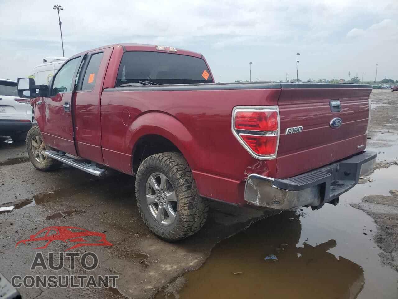 FORD F-150 2013 - 1FTFX1CF2DFD89559