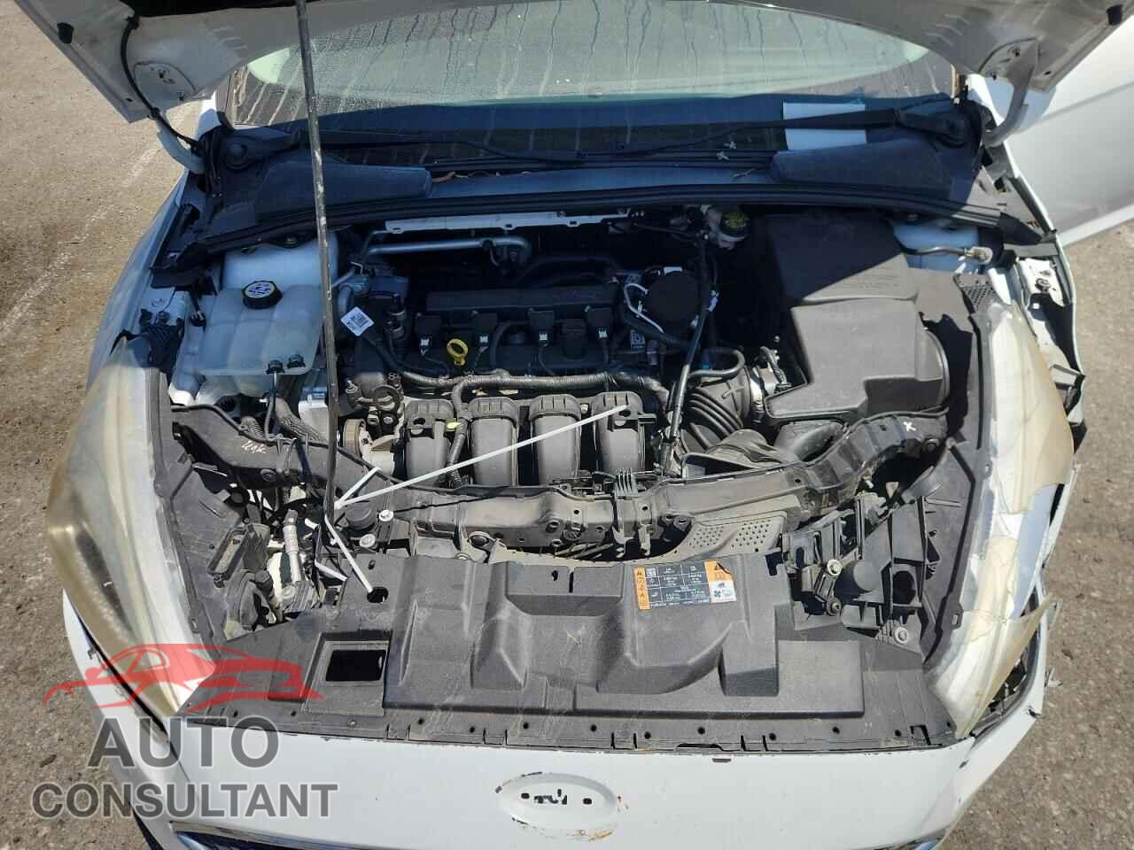 FORD FOCUS 2016 - 1FADP3F20GL213844