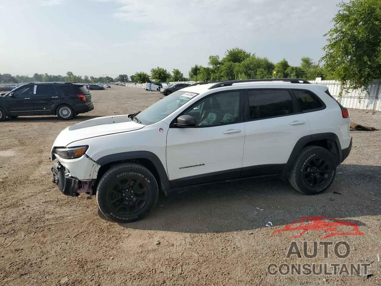 JEEP CHEROKEE 2019 - 1C4PJMBX0KD152854