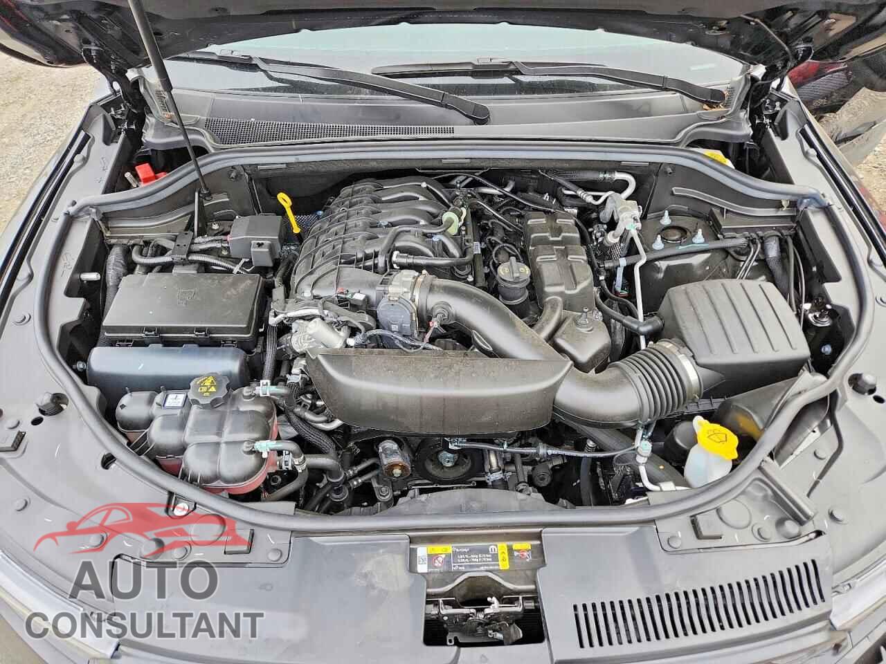 DODGE DURANGO 2026 - 1C4RDJDG8TC177780