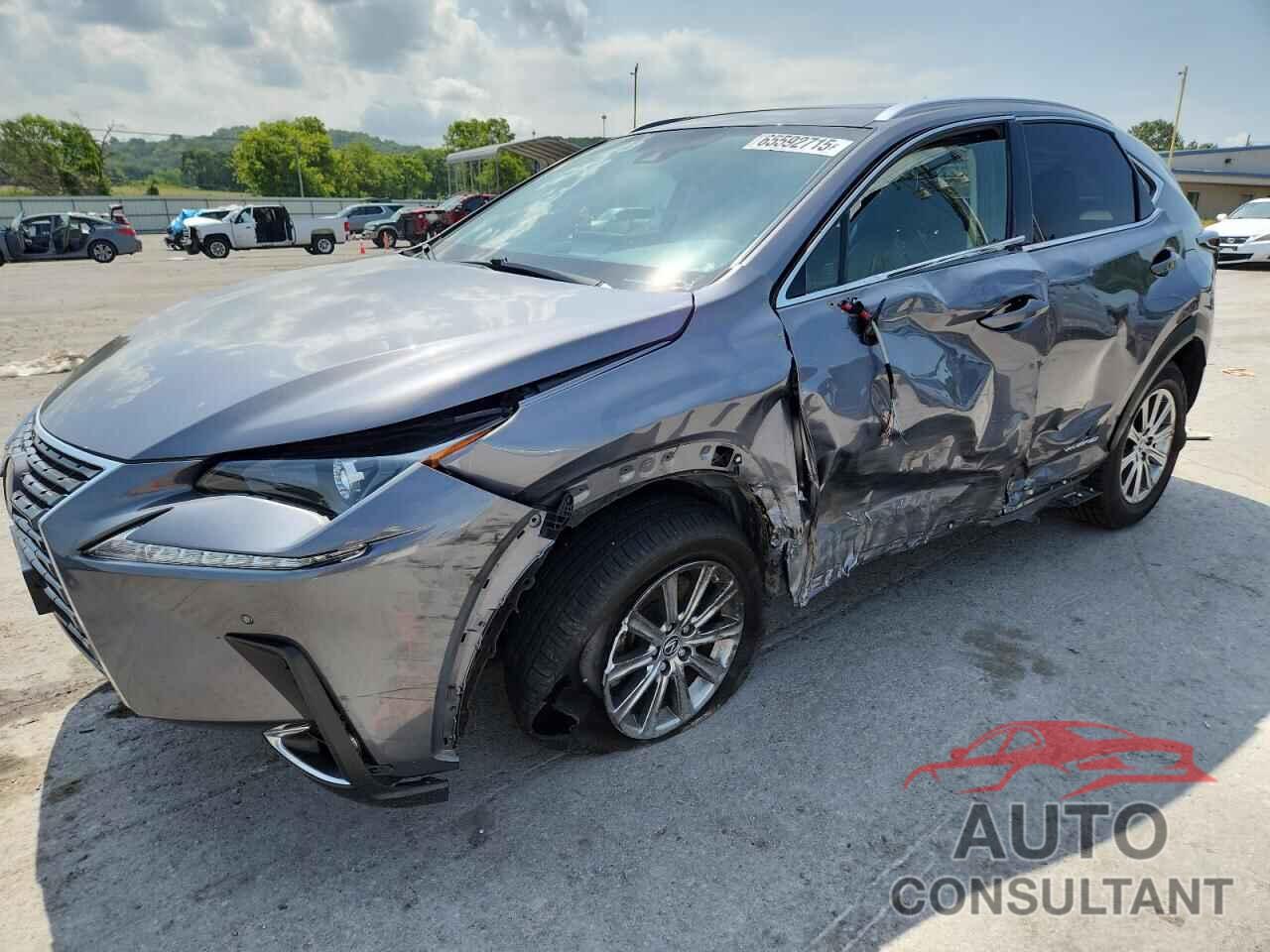 LEXUS NX 2019 - JTJBJRBZ2K2118545