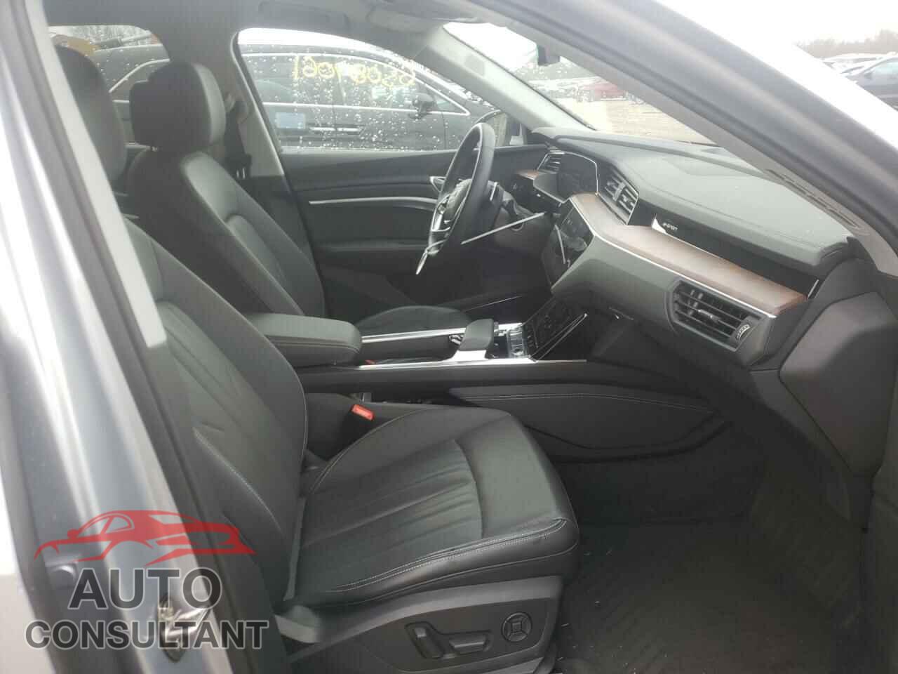 AUDI E-TRON 2019 - WA1LAAGE0KB022258