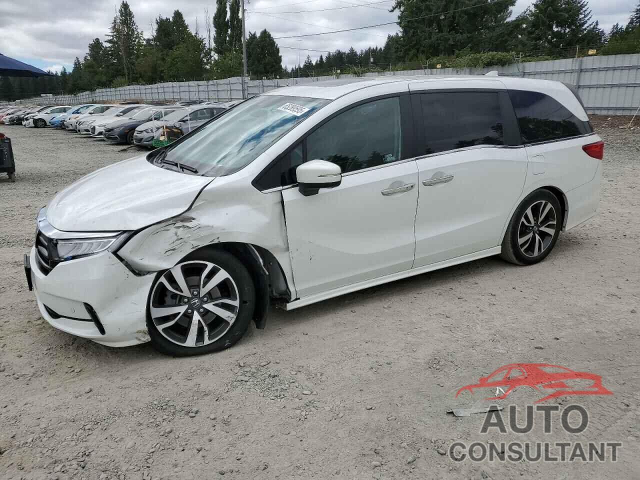 HONDA ODYSSEY 2022 - 5FNRL6H8XNB016064