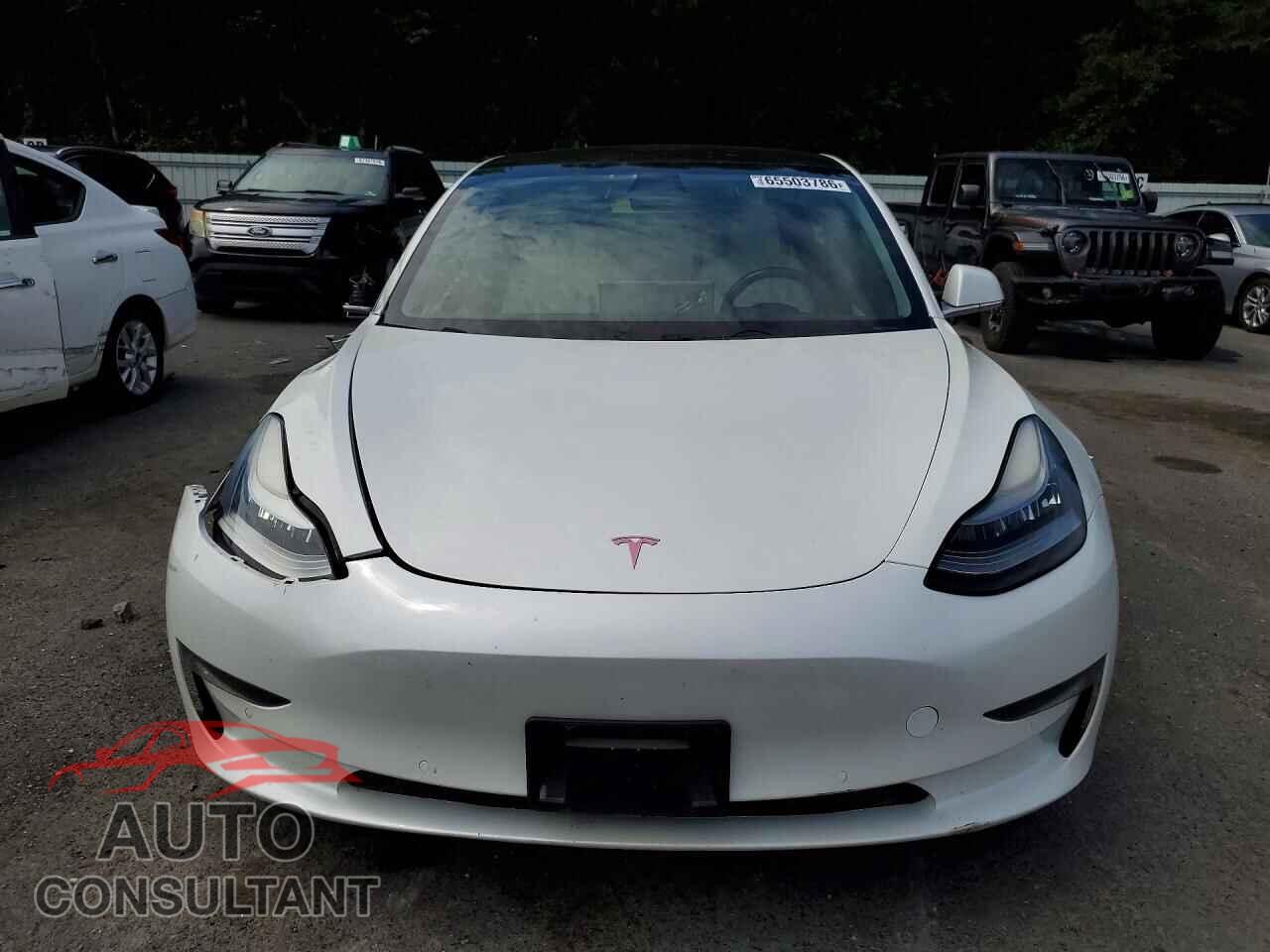 TESLA MODEL 3 2019 - 5YJ3E1EA6KF302080
