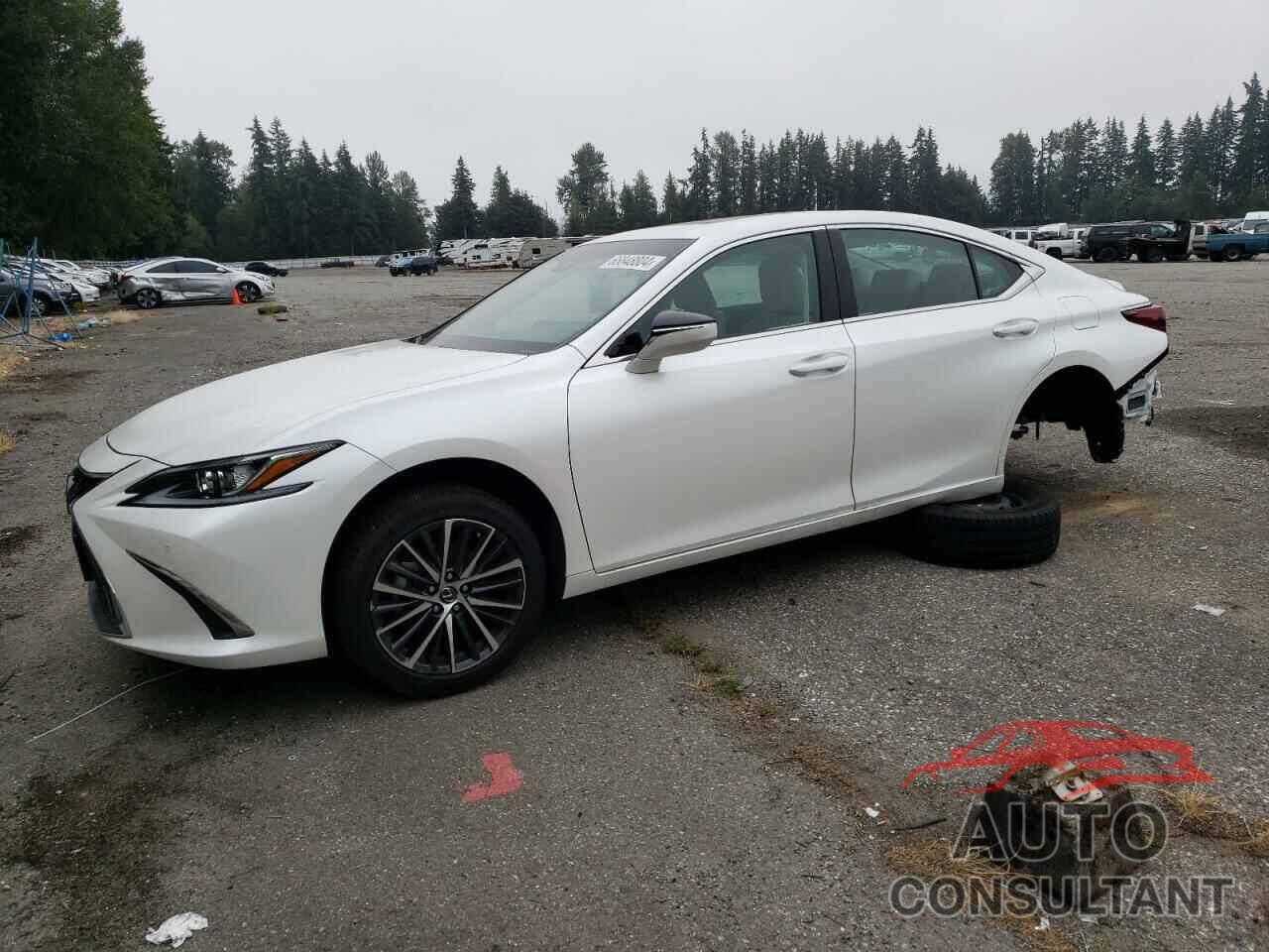 LEXUS ES250 2024 - 58AD11D11RU012188