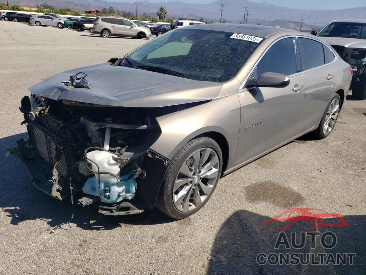 CHEVROLET MALIBU 2017 - 1G1ZH5SXXHF280552