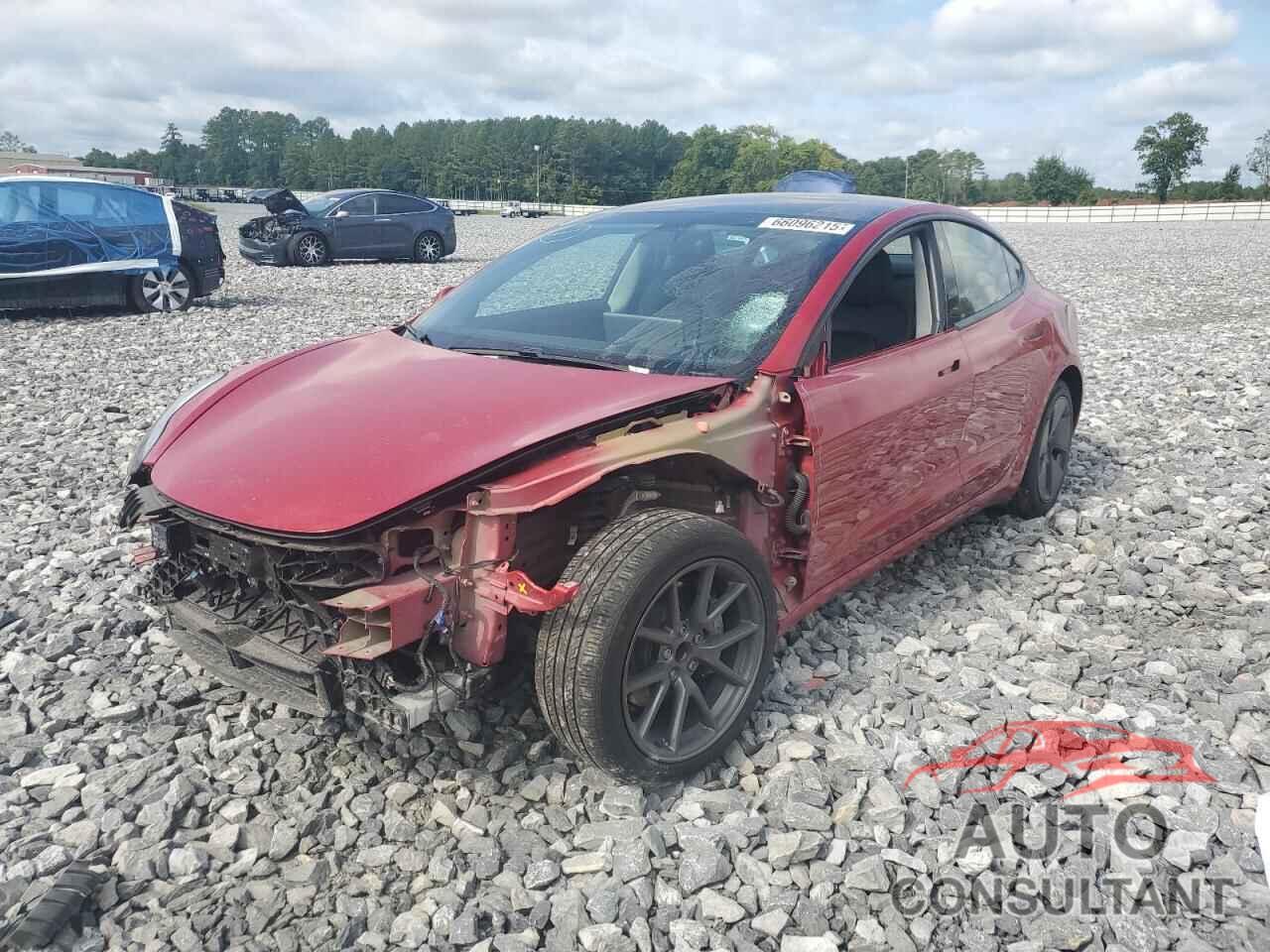 TESLA MODEL 3 2021 - 5YJ3E1EA9MF859441