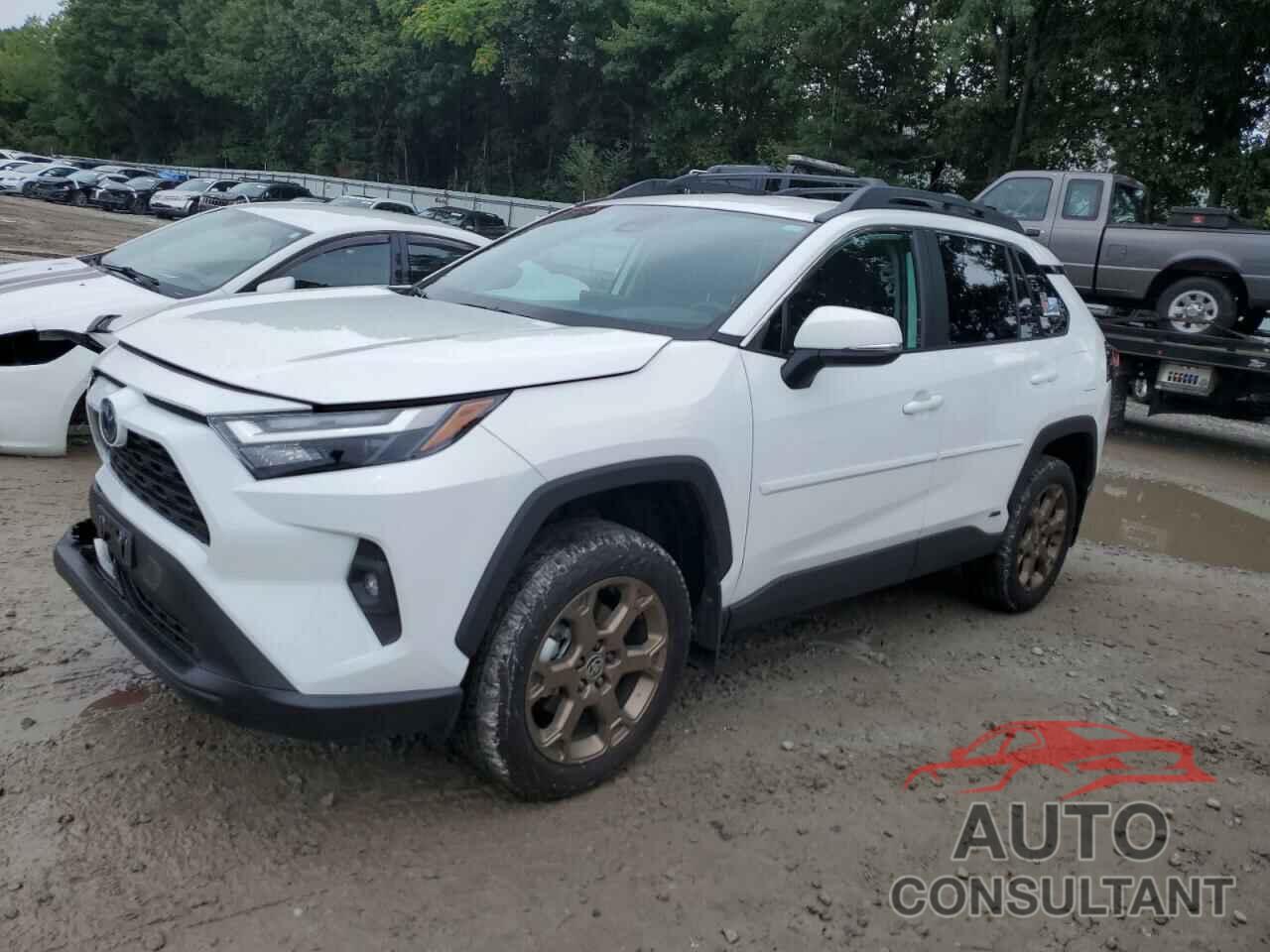 TOYOTA RAV4 WOODL 2023 - 2T3UWRFV9PW157426