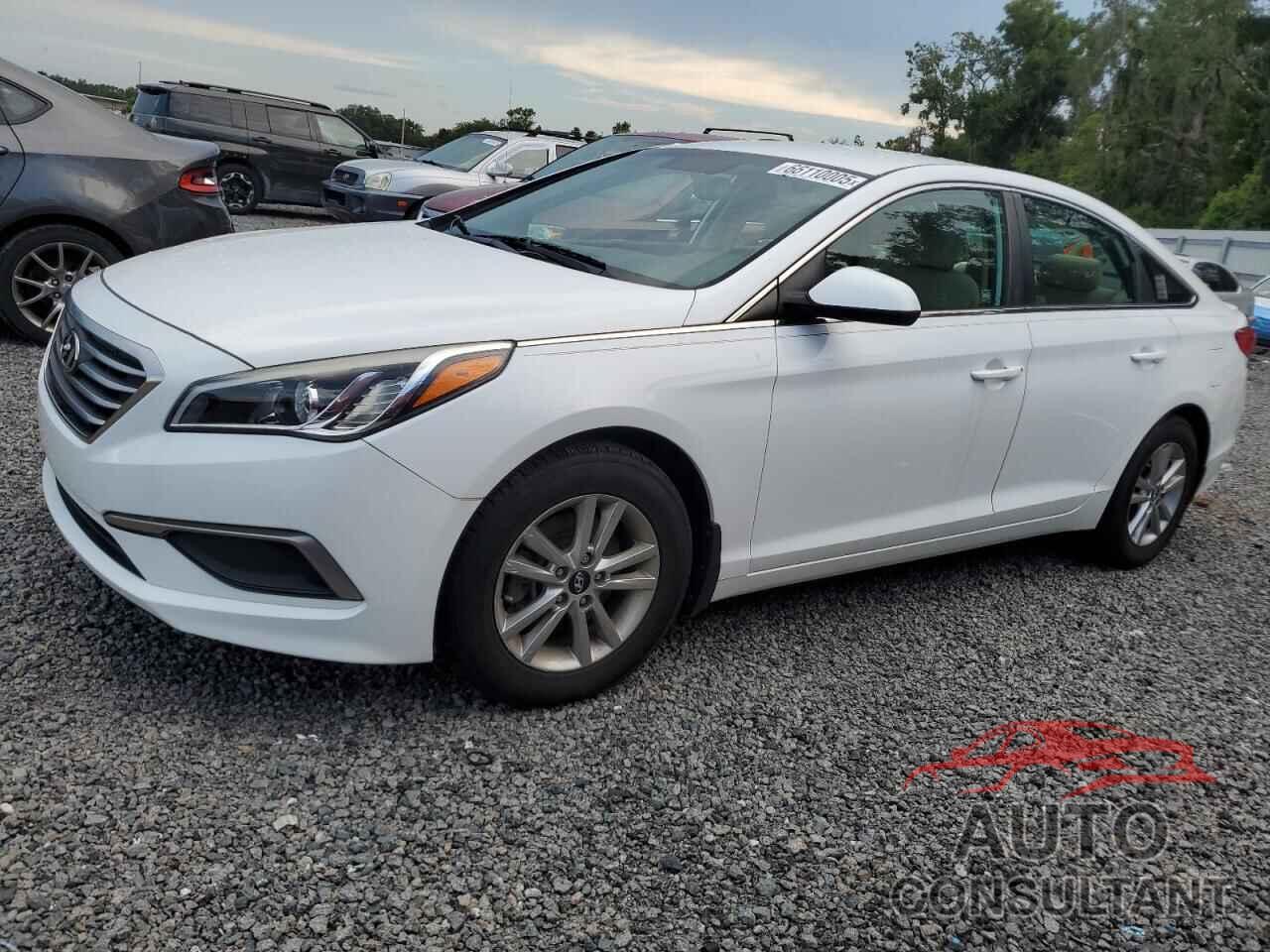 HYUNDAI SONATA 2017 - 5NPE24AF7HH490509