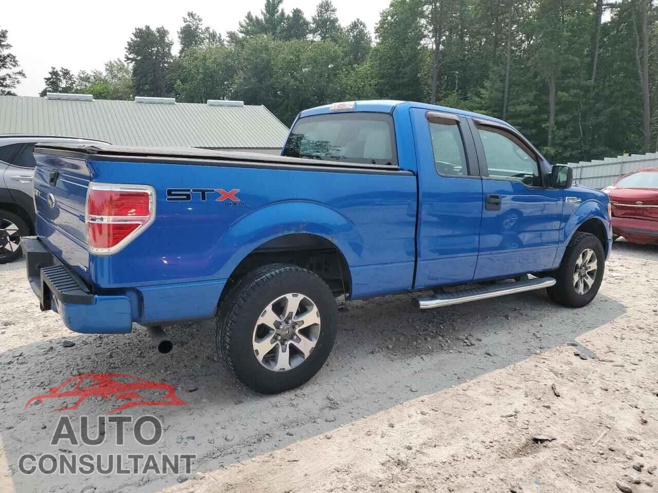 FORD F-150 2013 - 1FTFX1EFXDFB25504
