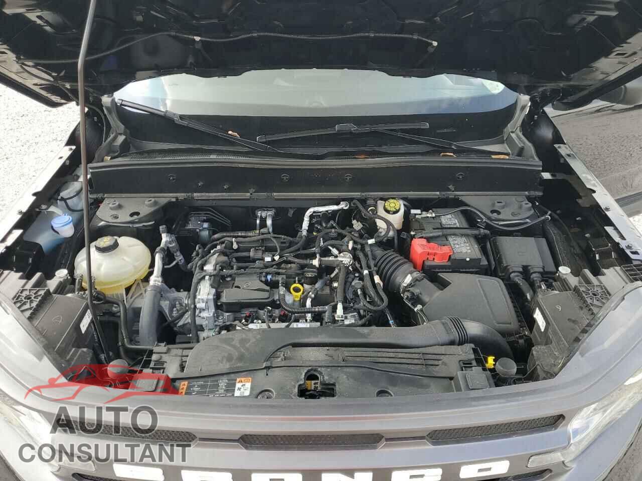 FORD BRONCO 2023 - 3FMCR9B69PRE20550